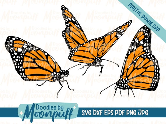 Free Free 97 Svg Side View Butterfly Silhouette SVG PNG EPS DXF File