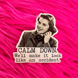 Retro Vintage Woman Funny Sticker, Calm down, look like an accident, 1950s Sarcastic Ad, Americana gift, best friend gift, for laptop GS138