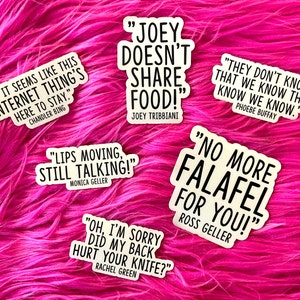Friends TV Show Sticker Bundle, Chandler Bing & Rachel Green quotes, Gift for Best Friend, Stocking Stuff, Secret Santa, Joey or Ross TV159