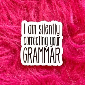 Correcting your grammar Funny Sticker Friend Gift Laptop Sticker Macbook Decal Water Bottle Sticker Planner Journal Sticker | Item RD131