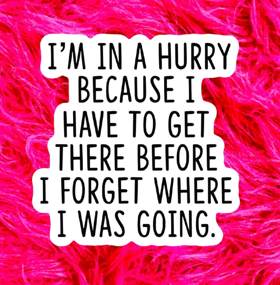 Funny Sticker Gift for Her, Im in a Hurry, Forgot Where I Was Going ...