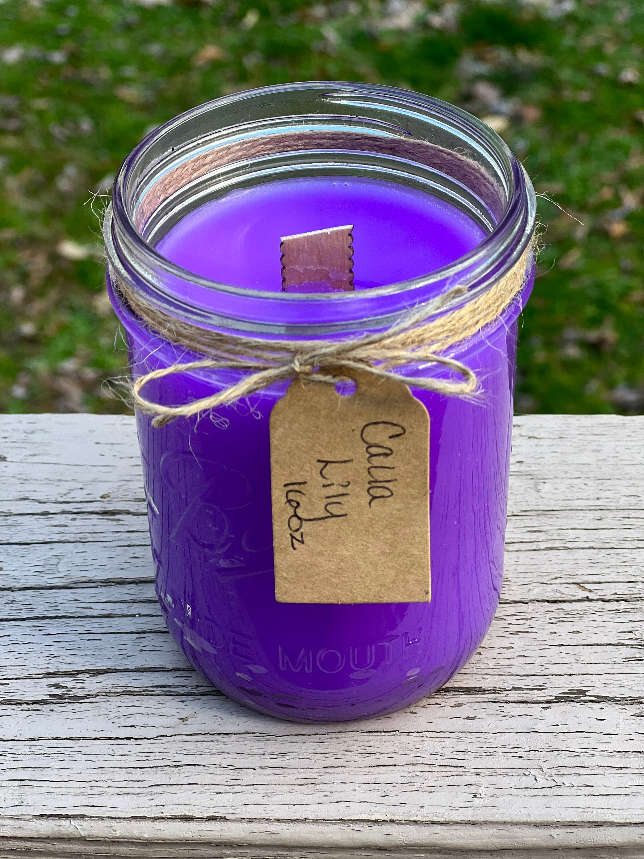 Dual Wick Assistant - DUAL Candle Wick Holder For Homemade Candles using  Mason Jars!