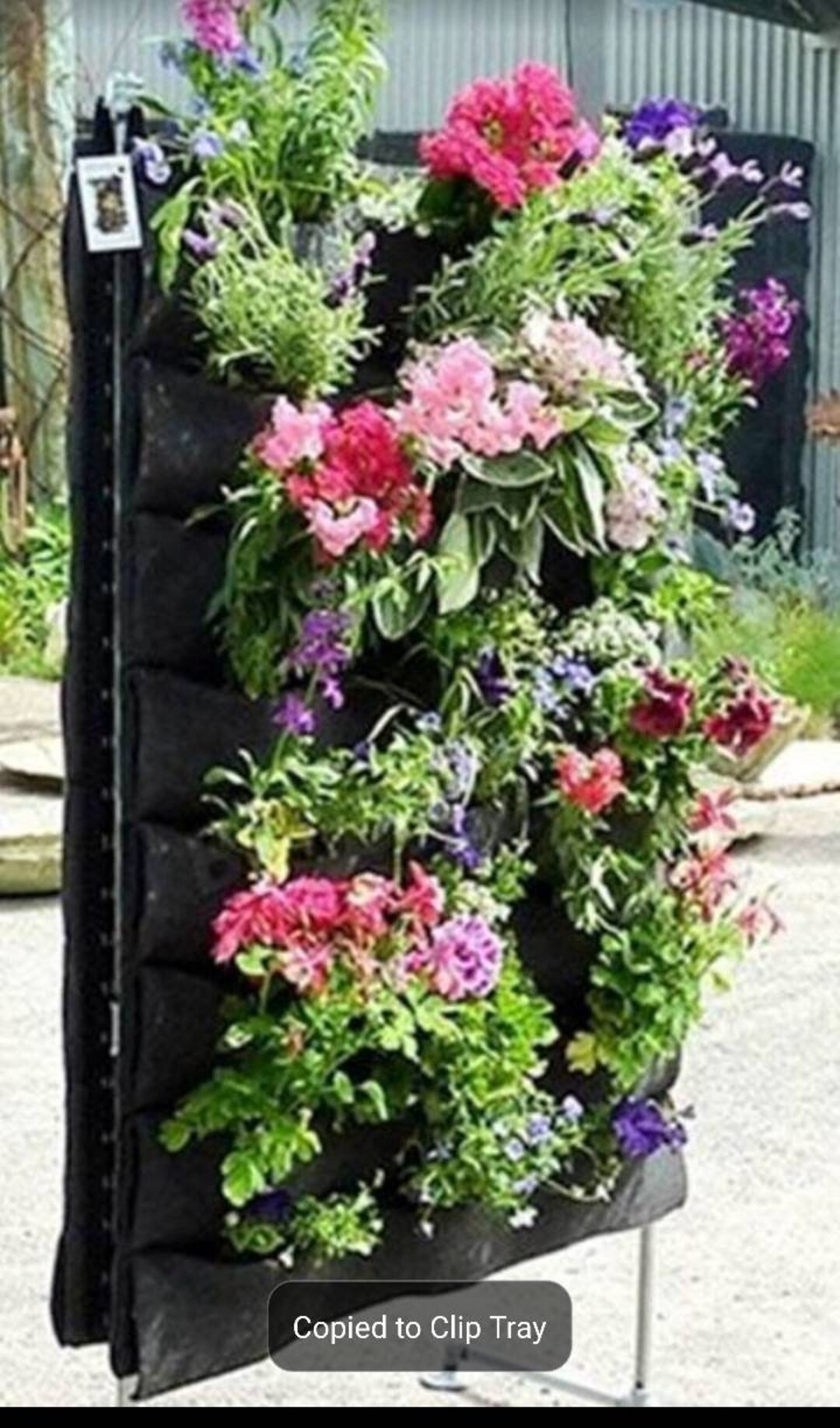 Wall Hanging Grow Bag Etsy