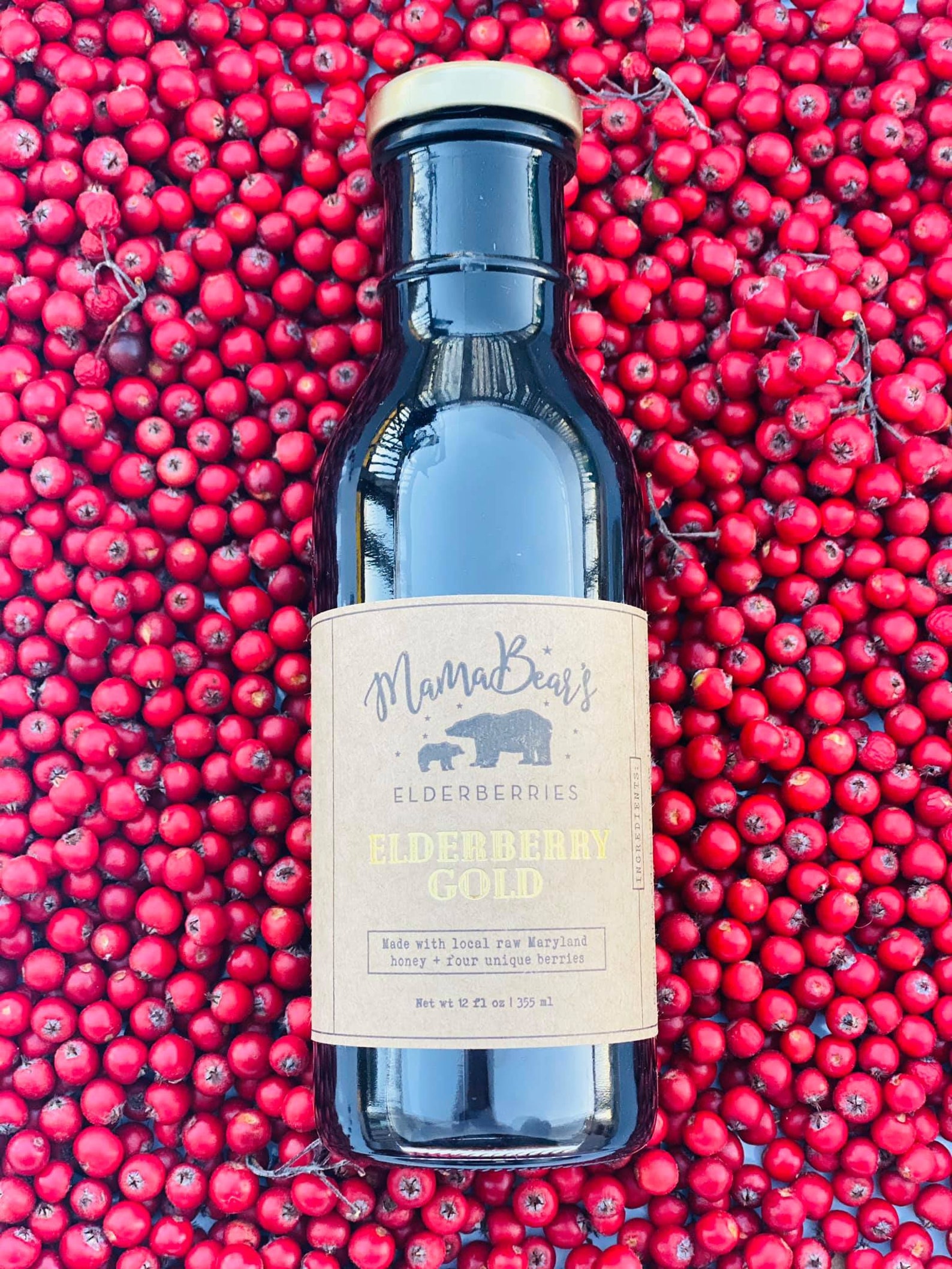 Elderberry GOLD 4 Antioxidant Packed Berries Etsy