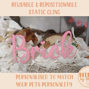 May include: A pink static cling with the name "Brick" in a cursive font, with a small heart. The text "REUSABLE & REPOSITIONABLE STATIC CLING" and "PERSONALISED TO MATCH YOUR PETS PERSONALITY" are also visible.