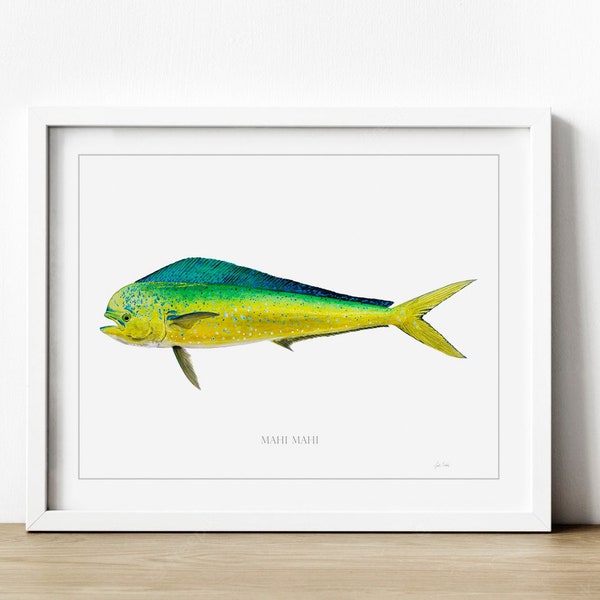 Mahi Mahi, Dorado, Dolphinfish (Original Artwork Watercolor Painting Print) Beach house wall art fishing 30a Destin Gulf Coast florida