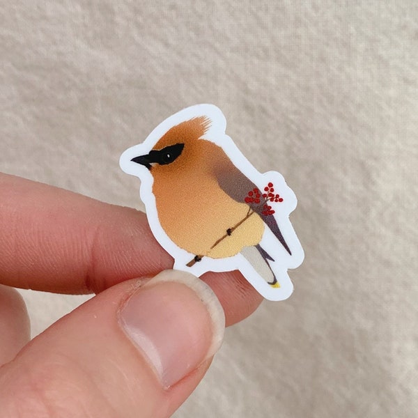 Mini 1” Fat Baby Waxwing Vinyl Sticker Cute Adorable Little Tiny Cedar Borb Bird Alaska Durable Weatherproof Waterproof Filler Chickadoot