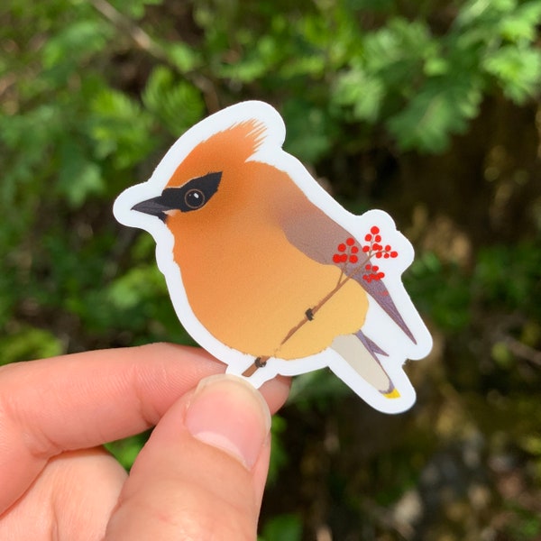 Fat Baby Waxwing 2” Vinyl Sticker Cedar Cute Adorable Bird Durable Waterproof Weatherproof Alaska Pacific Northwest Borb Birb Chickadoot