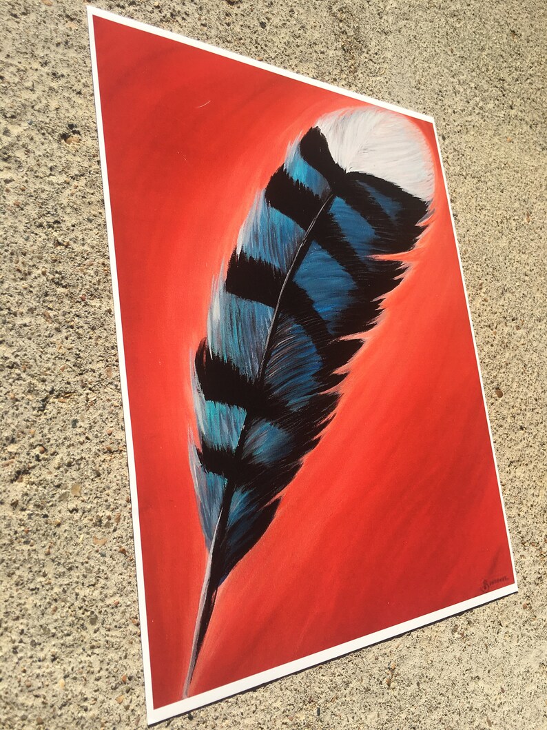 Blue Jay Feather Print Digital Prints Art Collectibles Myriam Com Tn Blue Jay Feather Print Digital Prints Art Collectibles Myriam Com Tn
