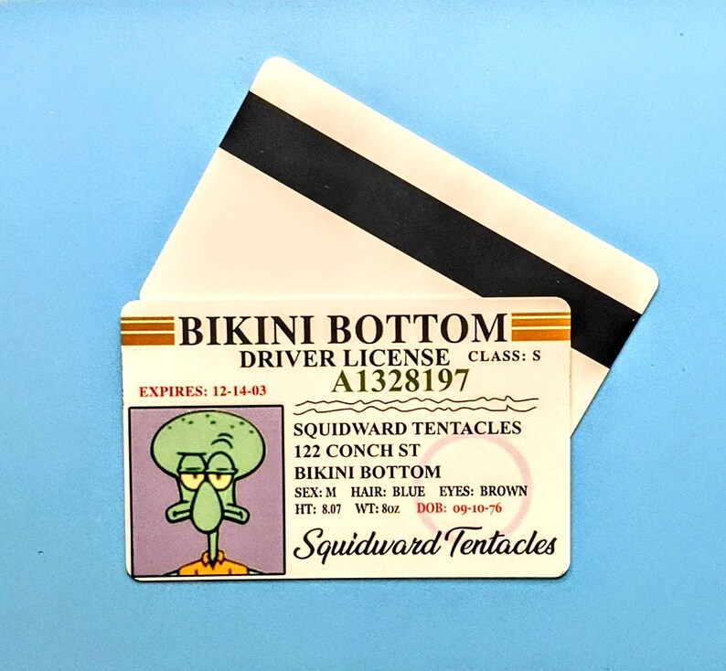 Custom Bikini Bottom Boating License Professional High Quality Etsy UK