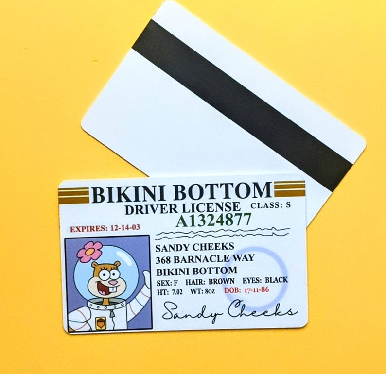 Custom Bikini Bottom Boating License Professional High Quality Etsy UK