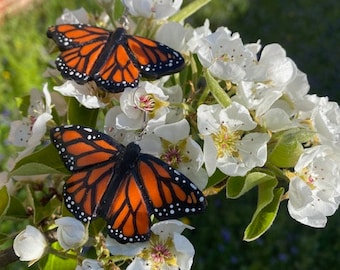 Monarch butterfly polymer clay dangling earrings