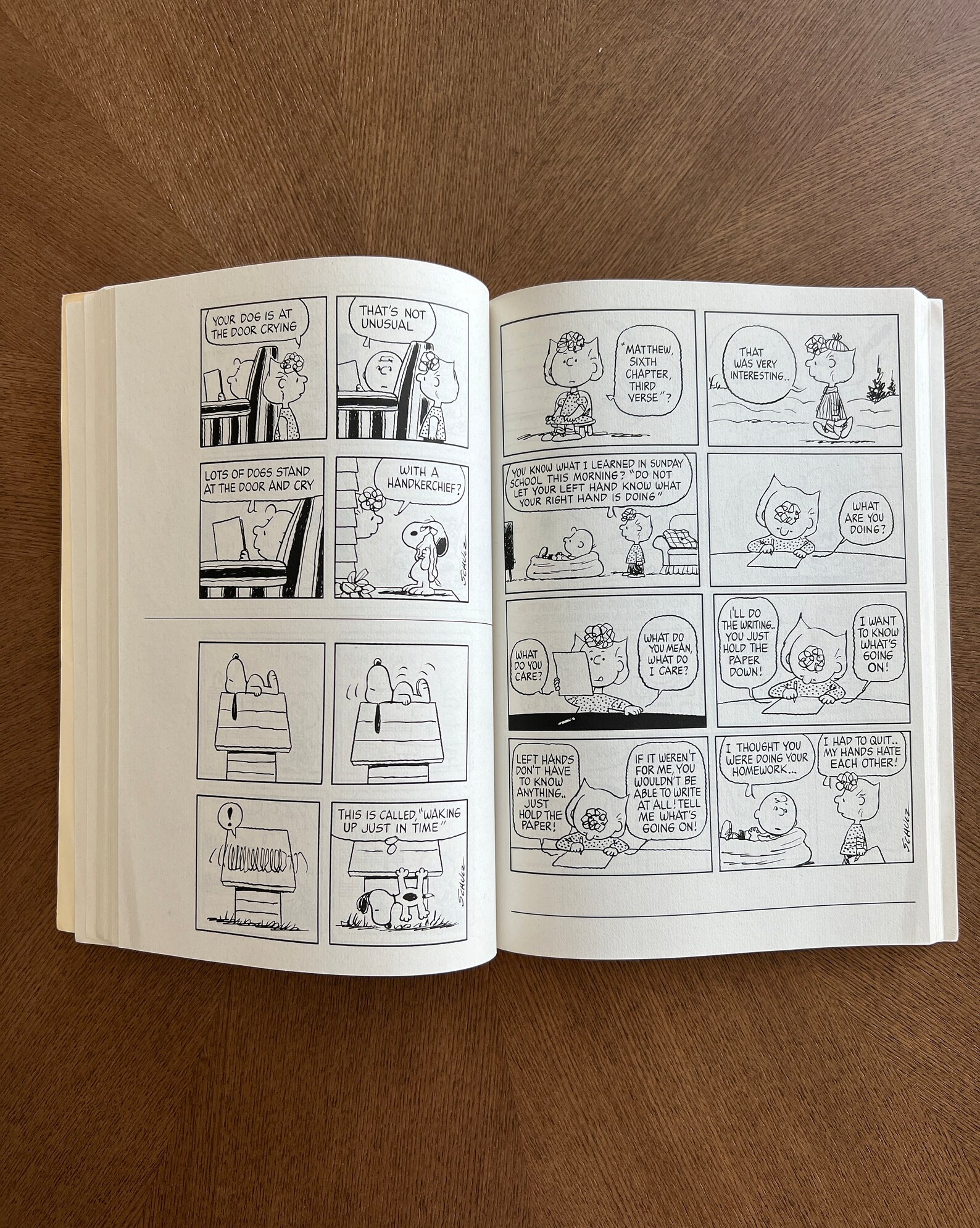 Kiss Her You Blockhead Peanuts Parade Book by Charles M Etsy Canada