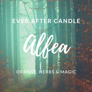 Black Cherry /& Pomegranate Scented Vegan Bookish Candle Gift Handmade Soy Candle The Cullens