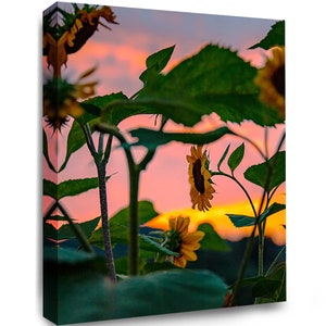 Sunflowers and Sunset Wall Art | Botanical Canvas Decor | Floral Landscape Print| Will Simpson Photography