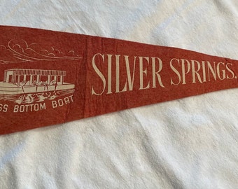 Vintage Old Pennants from 1040s to 1960s sold individually Waynesboro Silver Spring Burlington Chinatown