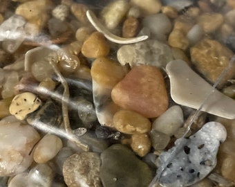 Small shells, and pebbles from the Outer Banks beaches of North Carolina
