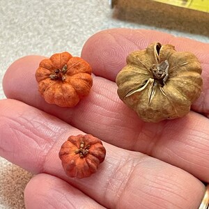 May include: Three miniature pumpkins, one orange and two brown, are displayed on a hand. The pumpkins are all different sizes.