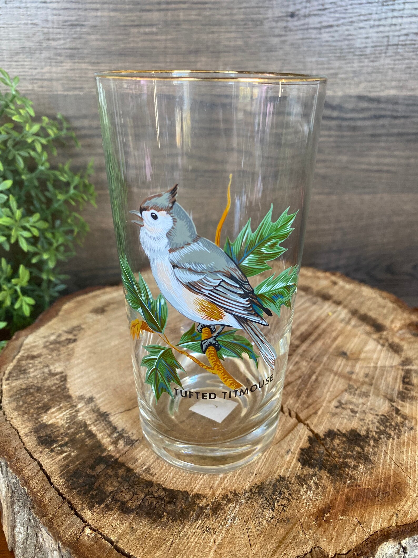 VTG 14 PC Set West Virginia Glass Company Specialty American Etsy