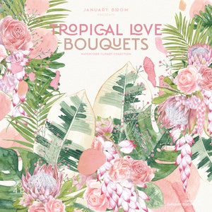 aquarelle clipart tropical rose verdure tropical monstera feuille de palmier abstrait mariage rose bouquet heliconia numérique png téléchargement immédiat