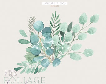 Bouquets & Arrangements