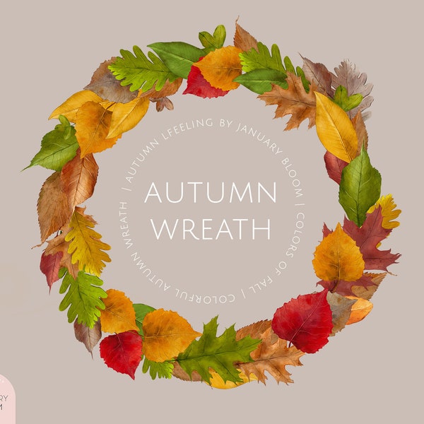 watercolor autumn leaf wreath, colorful fall wreath, thanksgiving wreath illustration, hand painted autumn wreath, autumn leaves PNG wreath
