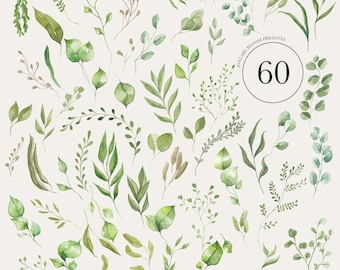 watercolour foliage greenery eucalyptus digital bouquet wreath clipart illustration modern greenery PNG painted hand drawn