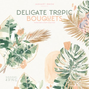 watercolor clipart greenery tropical palm monstera leaf leaves abstract bohemian wedding protea bouquet dried digital png instant download