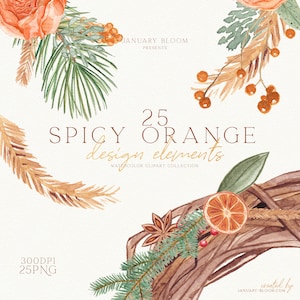 watercolor christmas cinnamon & orange spices clipart winter aesthetic gift bow greenery foliage DIY cards digital png instant download