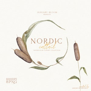 Könnte beinhalten: Aquarell-Clipart-Sammlung mit braunen Rohrkolben und grünen Blättern. Der Text "NORDIC cattail" und "WATERCOLOR CLIPART COLLECTION" wird in der Mitte des Bildes angezeigt. Der Text "JANUARY BLOOM PRESENTS" wird oben im Bild angezeigt. Der Text "created by JANUARY-BLOOM.COM" wird unten im Bild angezeigt.