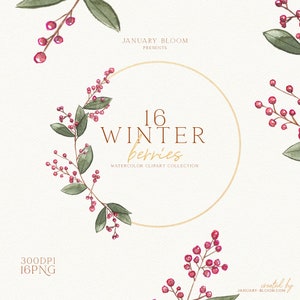 watercolor christmas berries & branches traditional clipart winter aesthetic greenery foliage DIY cards digital png instant download