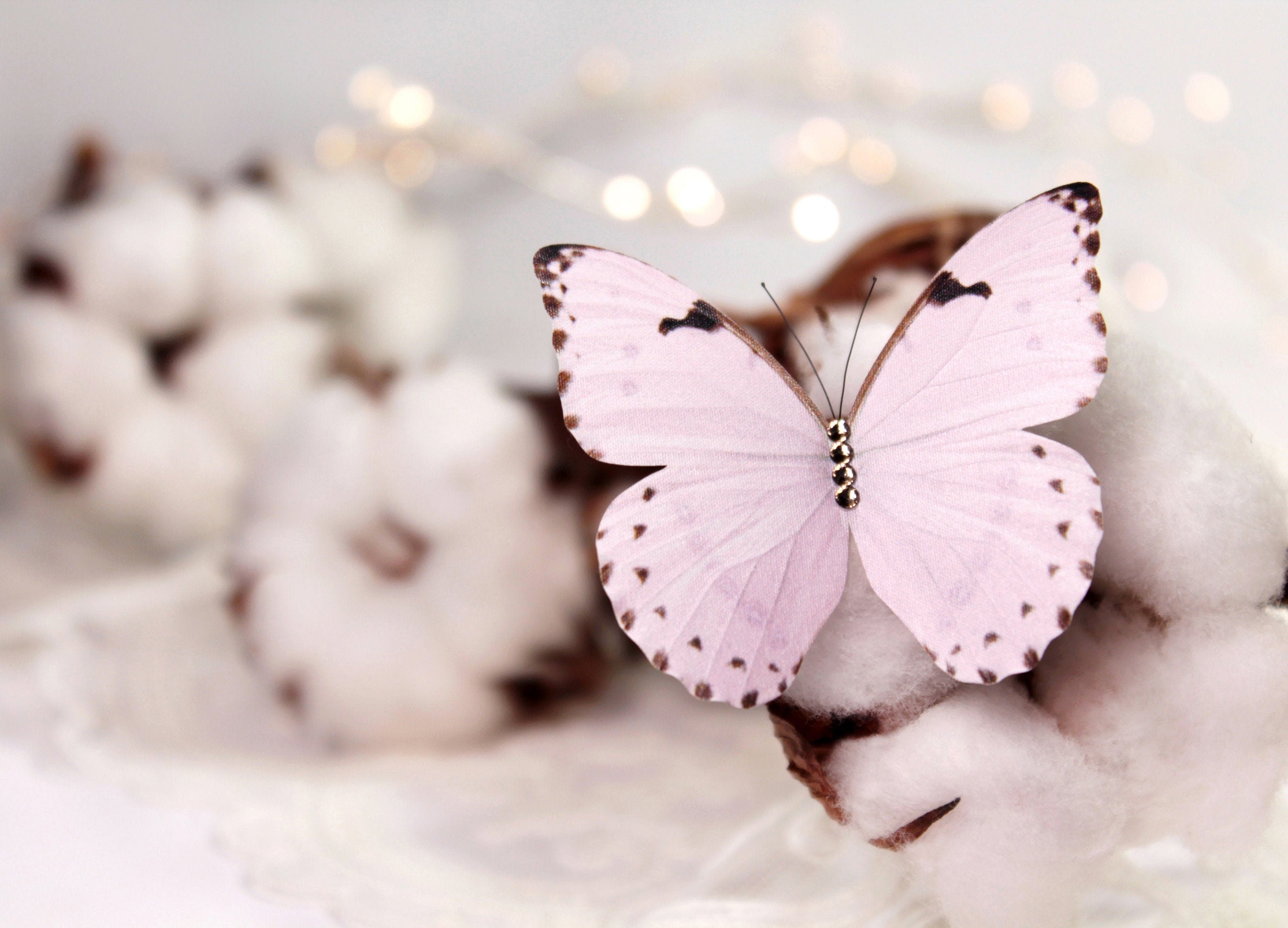 Белая розовая бабочка. Rozovoye babochki. Нежные бабочки. Бабочки нежно розовые. Красивые розовые бабочки.