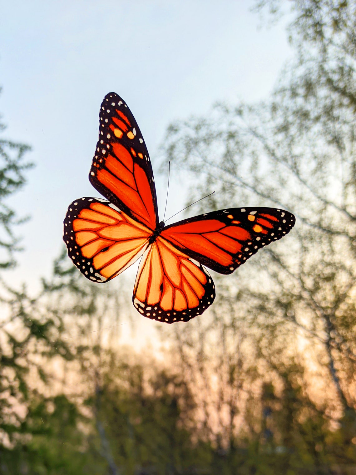 Monarch butterfly suncatcher window decor Imitation stained Etsy