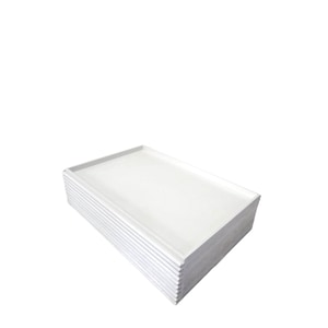 20 Airline Serving Meal Trays for Airline Galley Carts Trolleys and Airplane Boxes Containers Units - Jet Airways - ATLAS