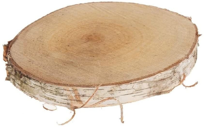 Birch Wood Slices Raw Birch Tree Circles Rustic Wood Rounds for