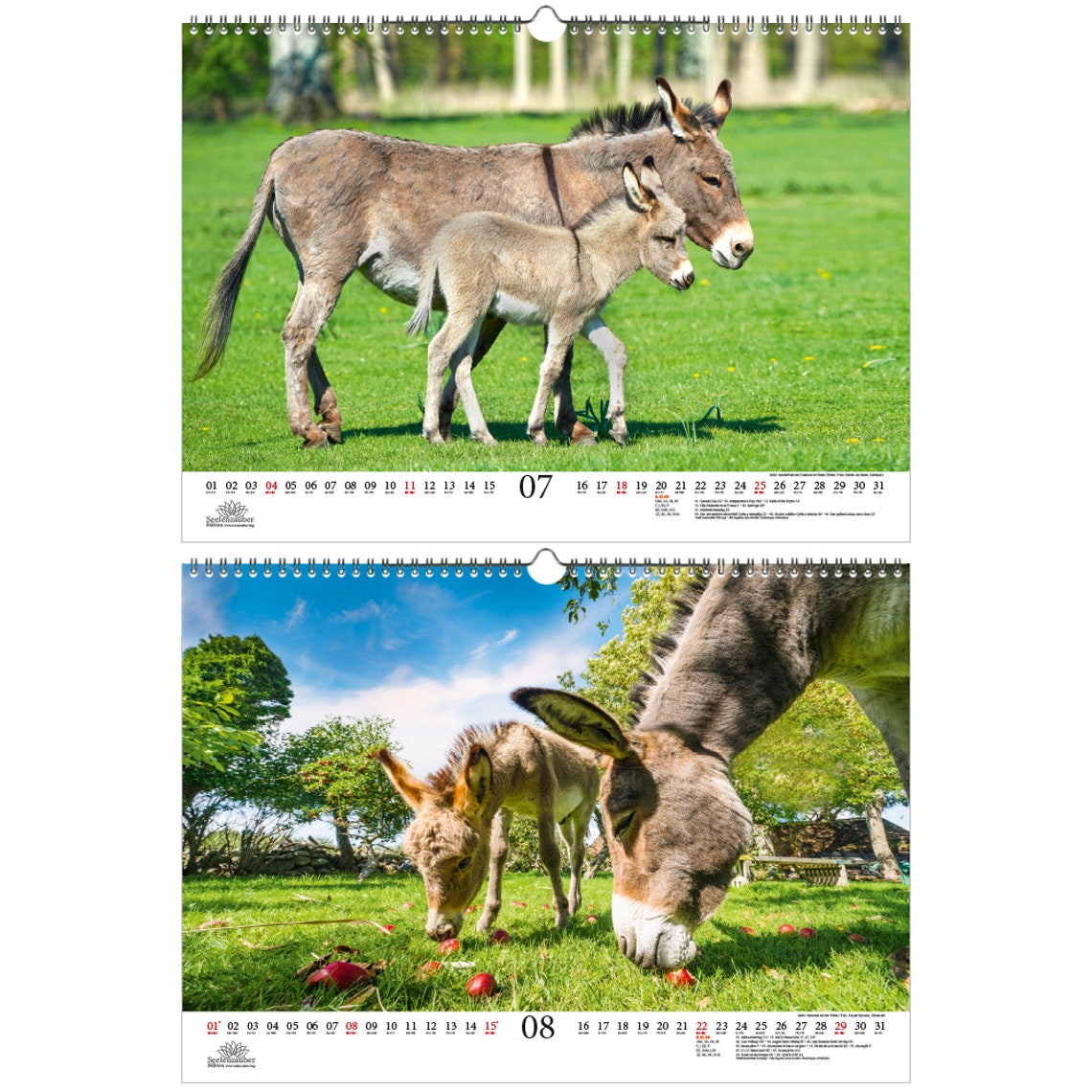 Donkey Magic A3 Calendar for 2021 Donkey Soul Spell Etsy