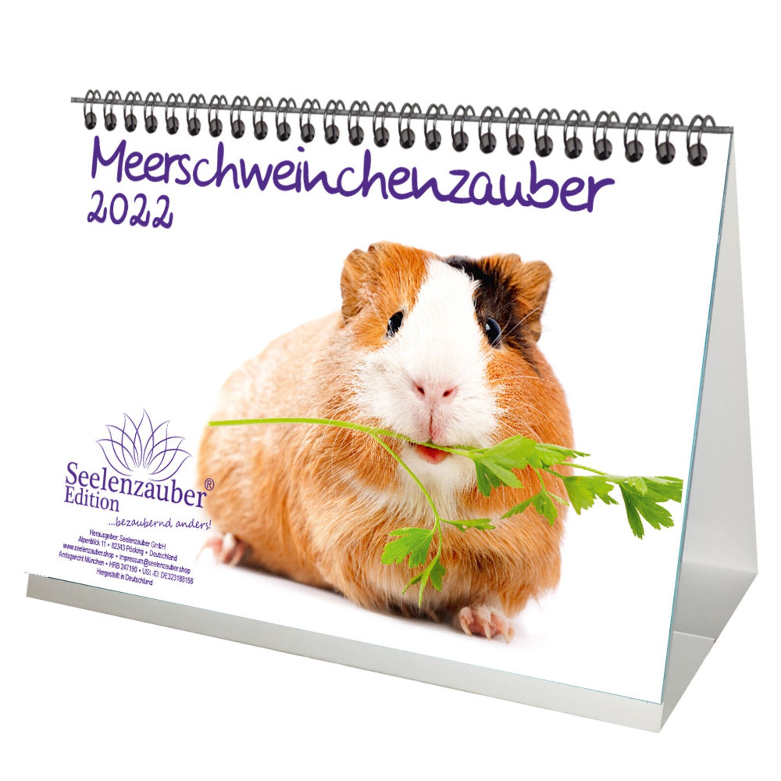 Guinea Pig Magic DIN A5 Table Calendar for 2022 Guinea Pig Etsy