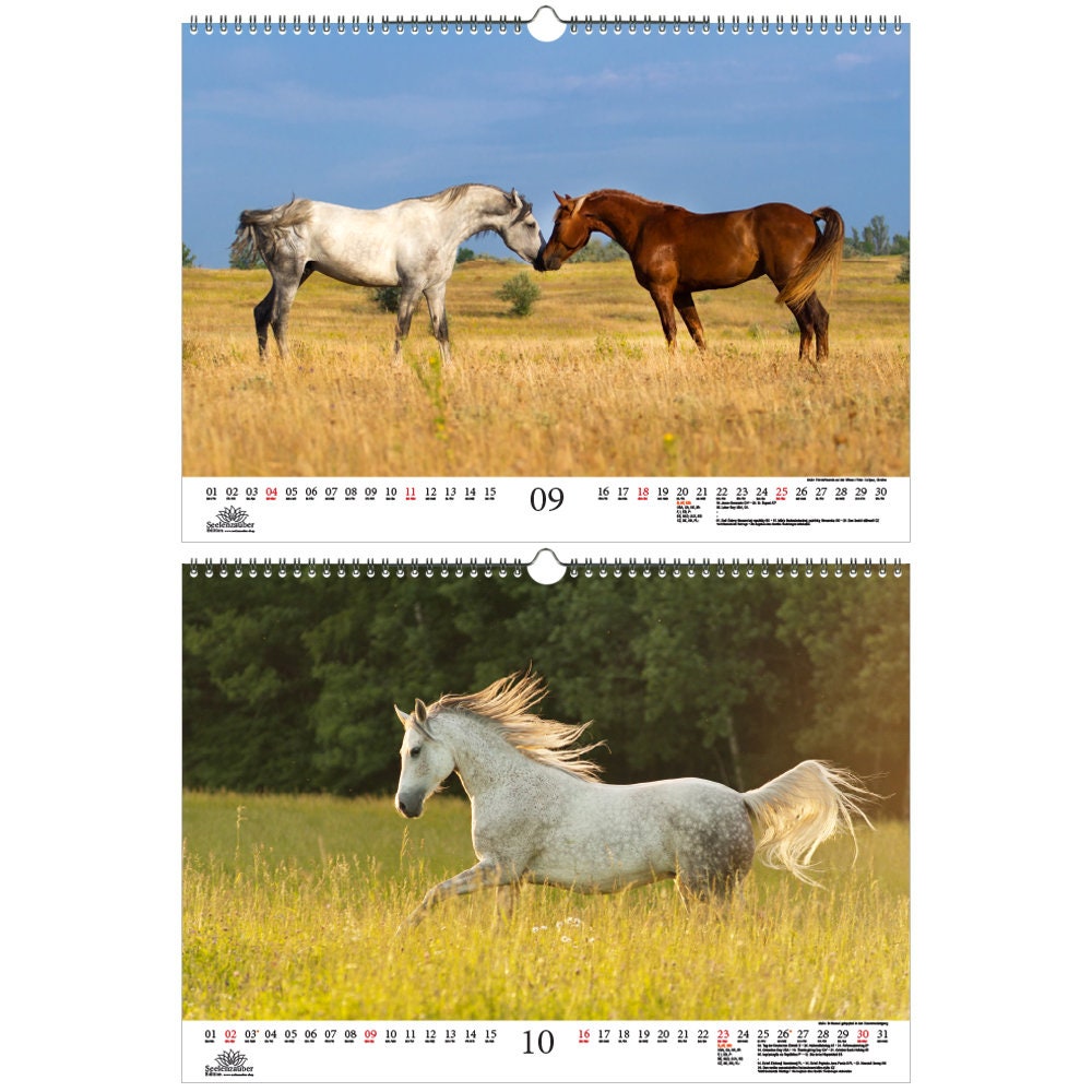 Family Planner Calendario de Magia de Caballos DIN A3 para Etsy