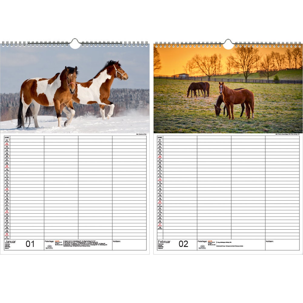 Family Planner Calendario de Magia de Caballos DIN A3 para Etsy