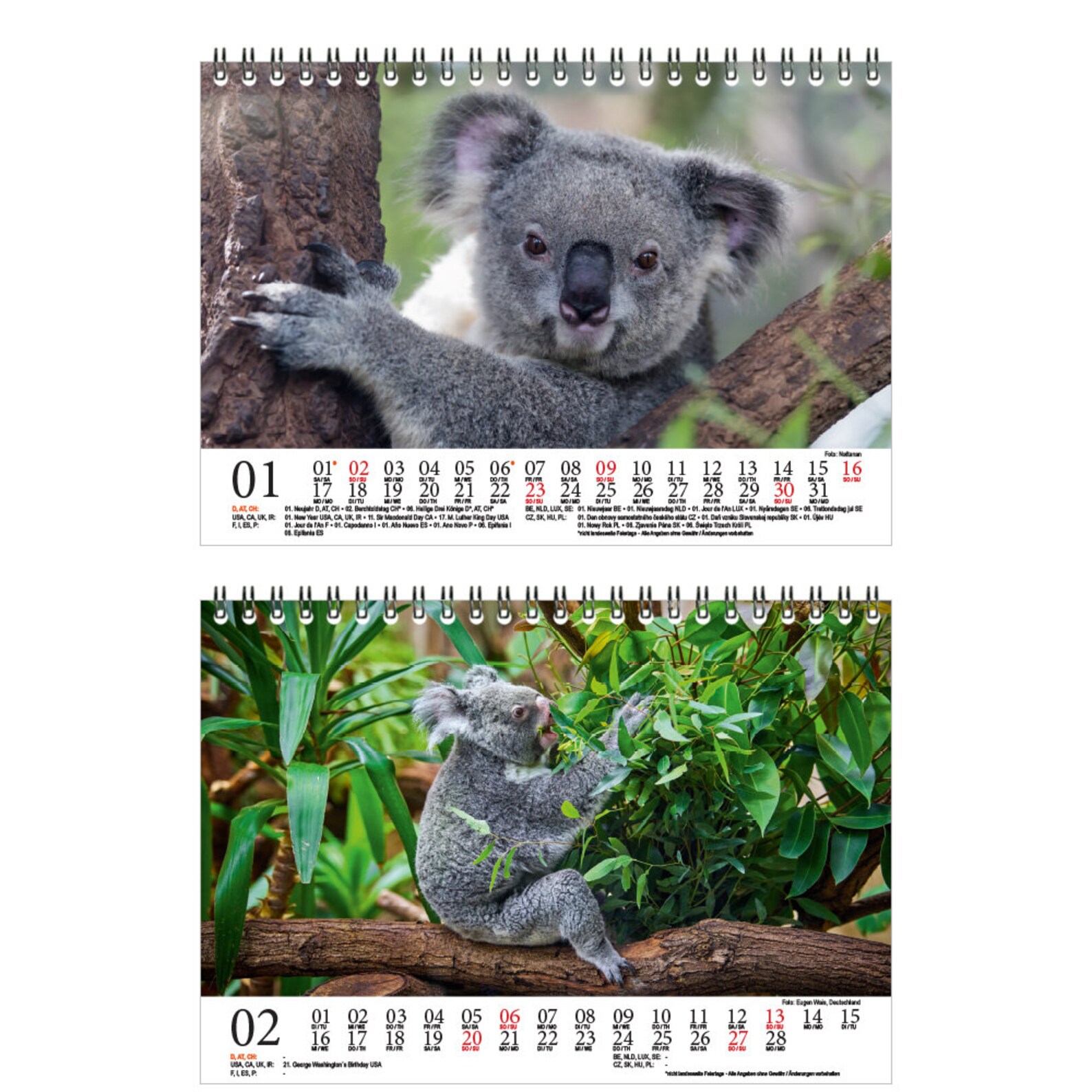 Koala Magic DIN A5 Table Calendar for 2022 Koala Bears Koala | Etsy