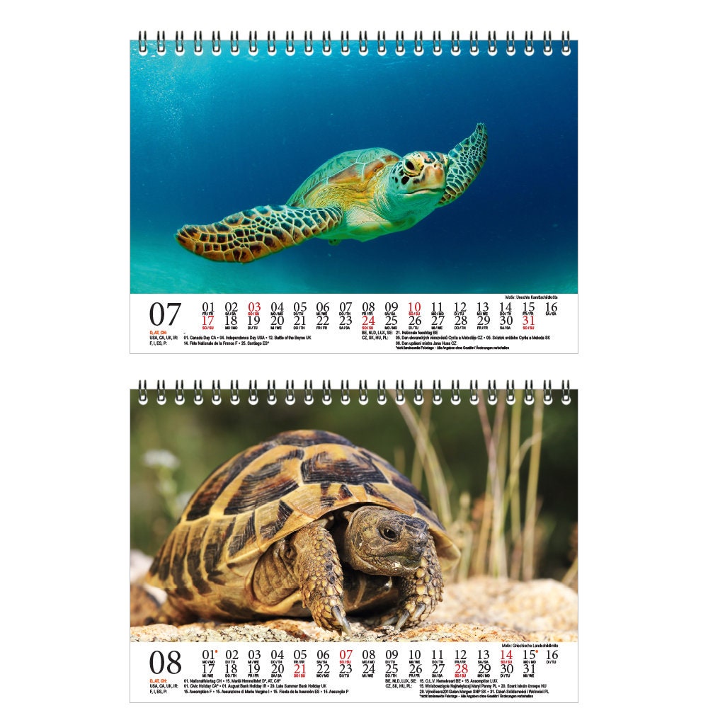 Turtle Magic DIN A5 Table Calendar para 2022 Turtles Soul Etsy