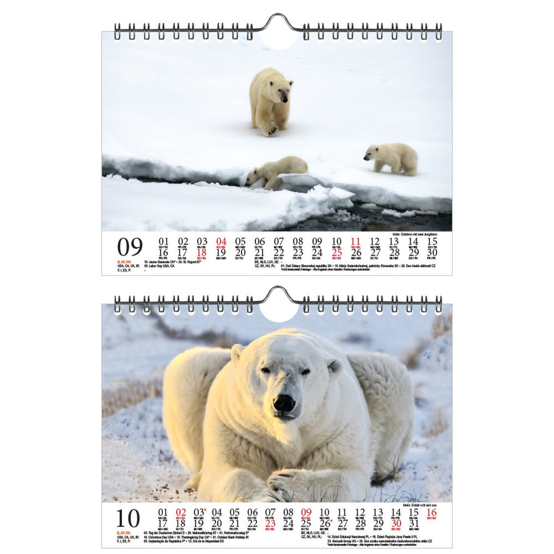 Polar Bear Magic DIN A5 Wall Calendar for 2022 Polar Bear | Etsy
