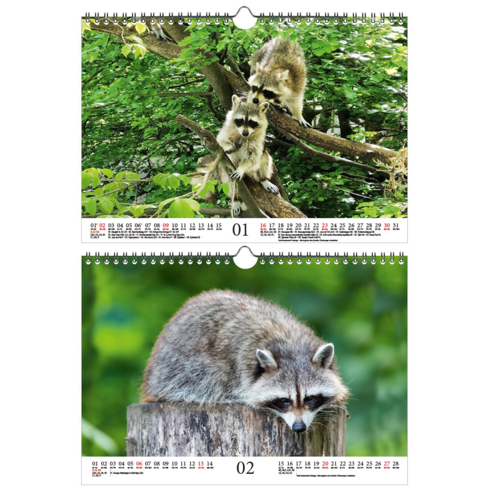 raccoon-magic-din-a4-calendar-for-2022-raccoons-soul-magic-etsy