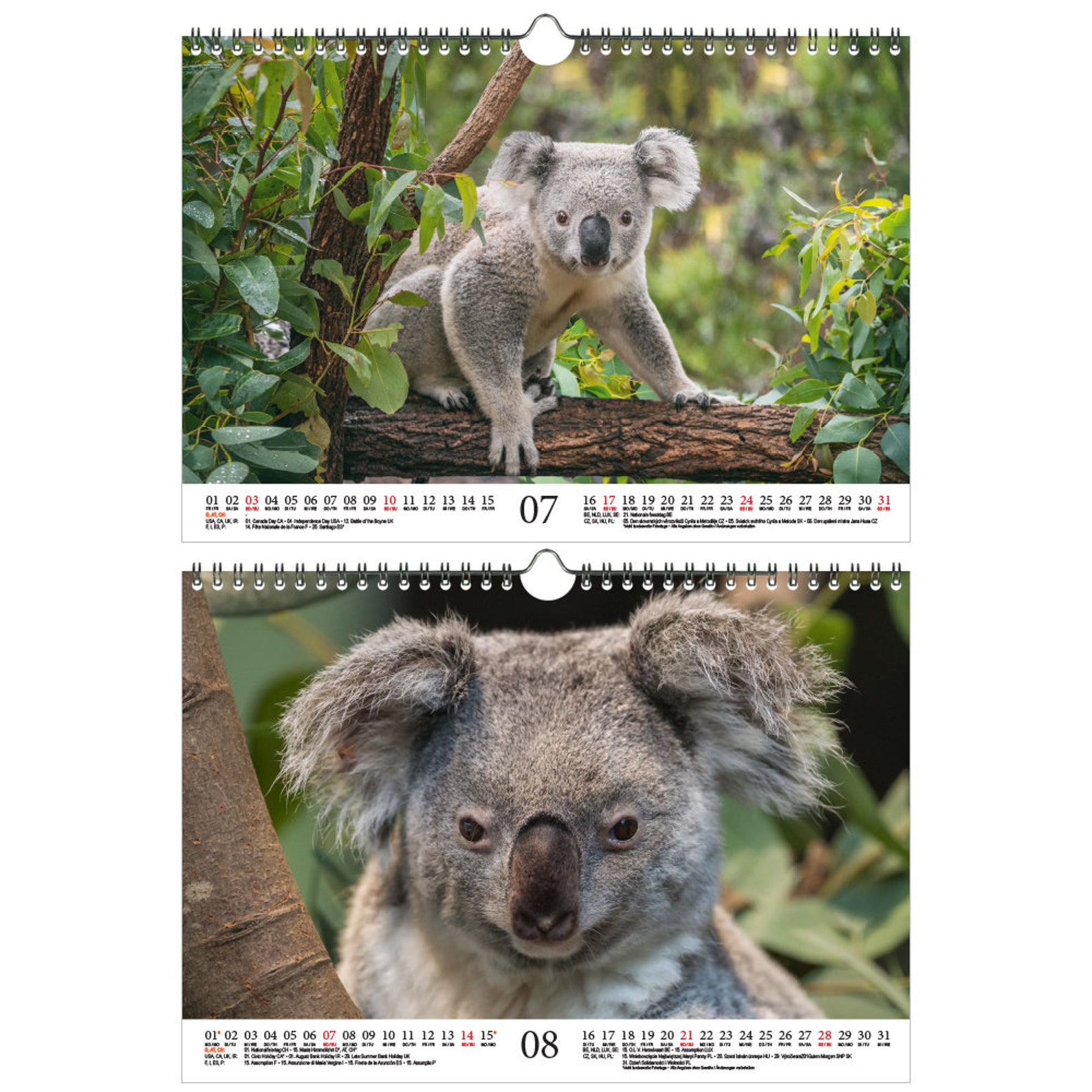 Koala Magic DIN A4 Calendar for 2022 Koala Bears Koala Soul Etsy