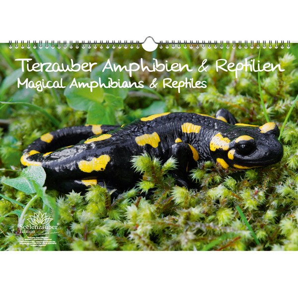 Tierzauber Amphibien und Reptilien DIN A3 Kalender - Immerwährender Kalender  - Seelenzauber