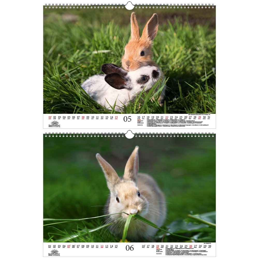 Hasenzauber Hasen und Kaninchen DIN A3 Kalender für 2022  Etsy