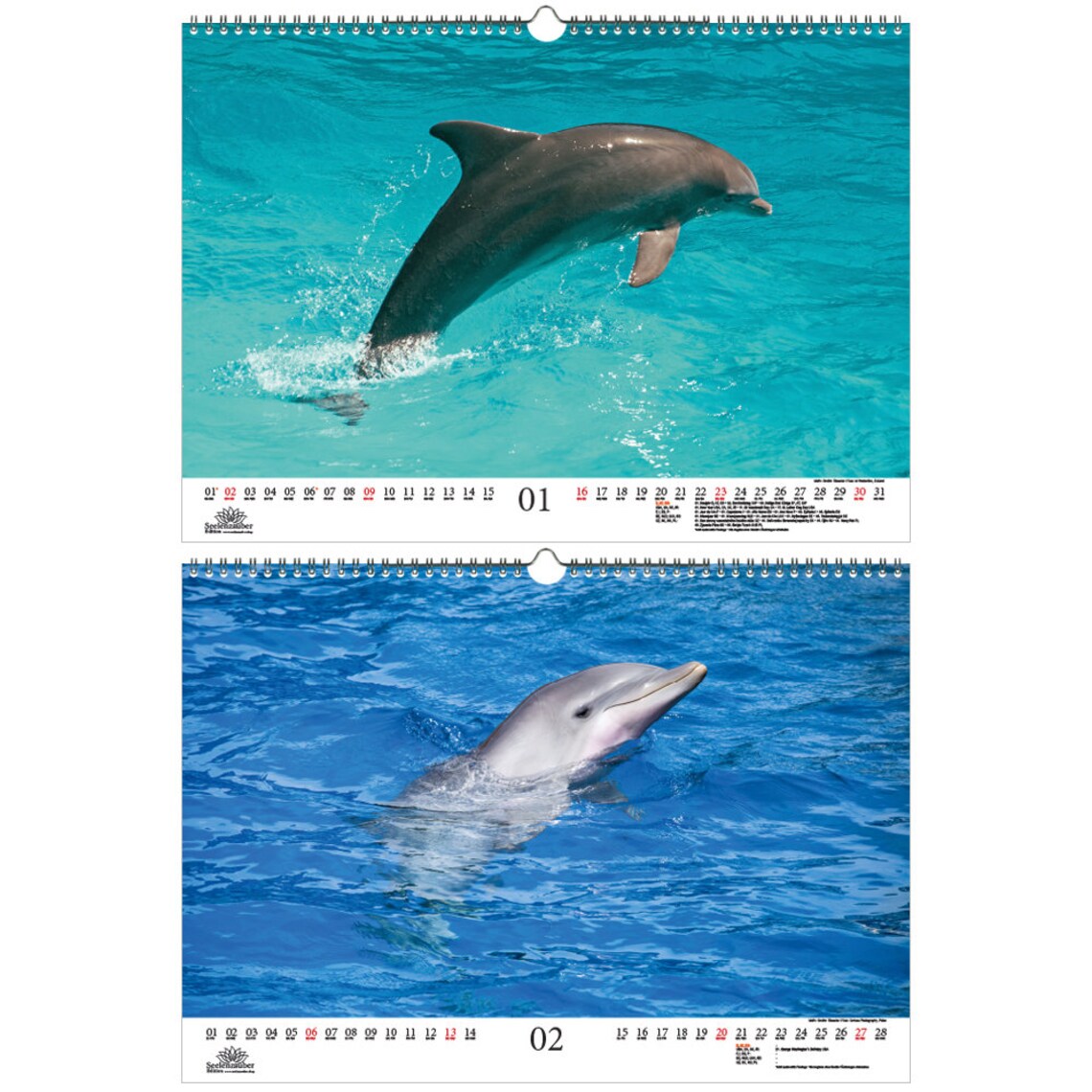 Family Planner Dolphin Magic DIN A3 Calendar for 2022 | Etsy