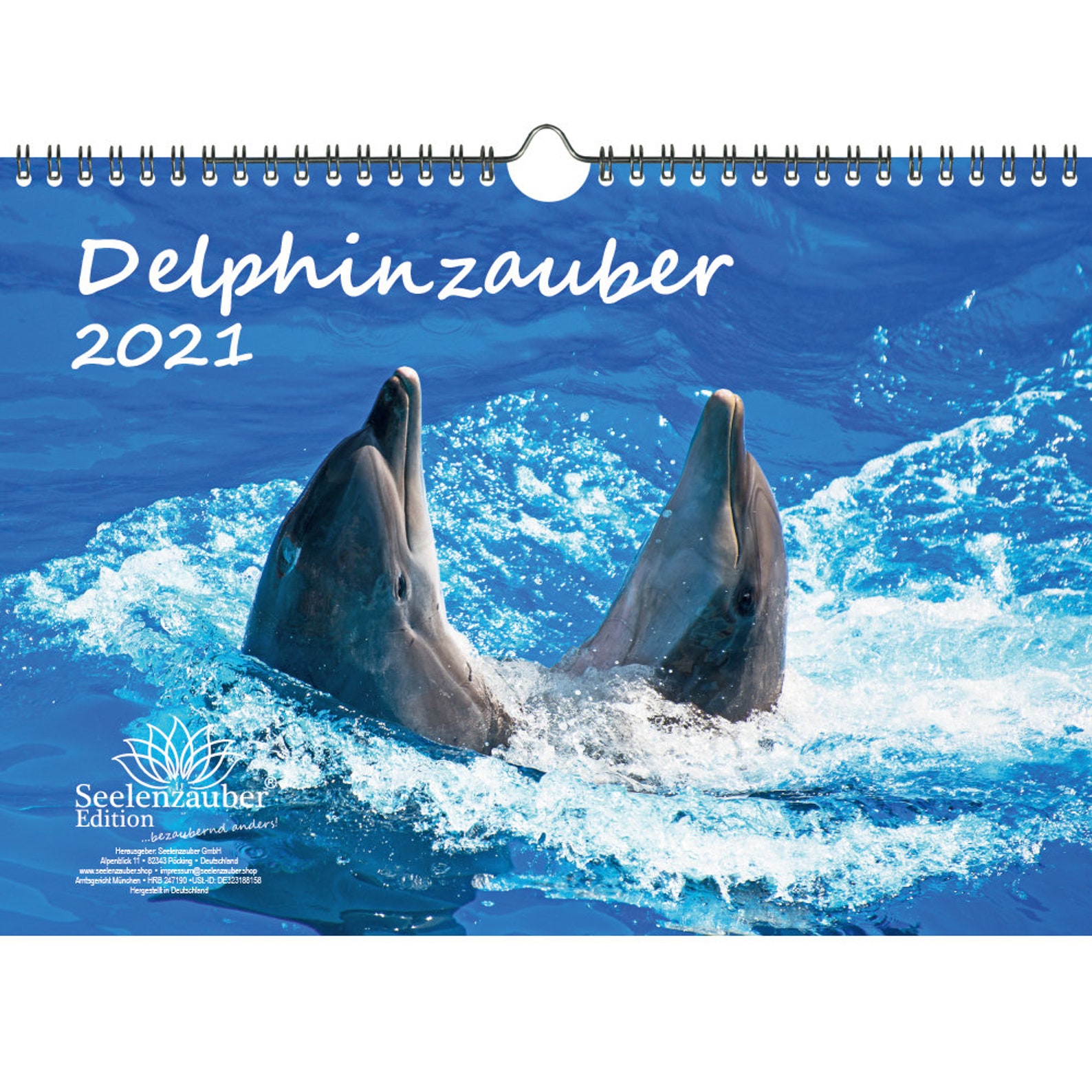 Dolphin Magic DIN A4 Calendar for 2021 Dolphin Dolphin Soul | Etsy