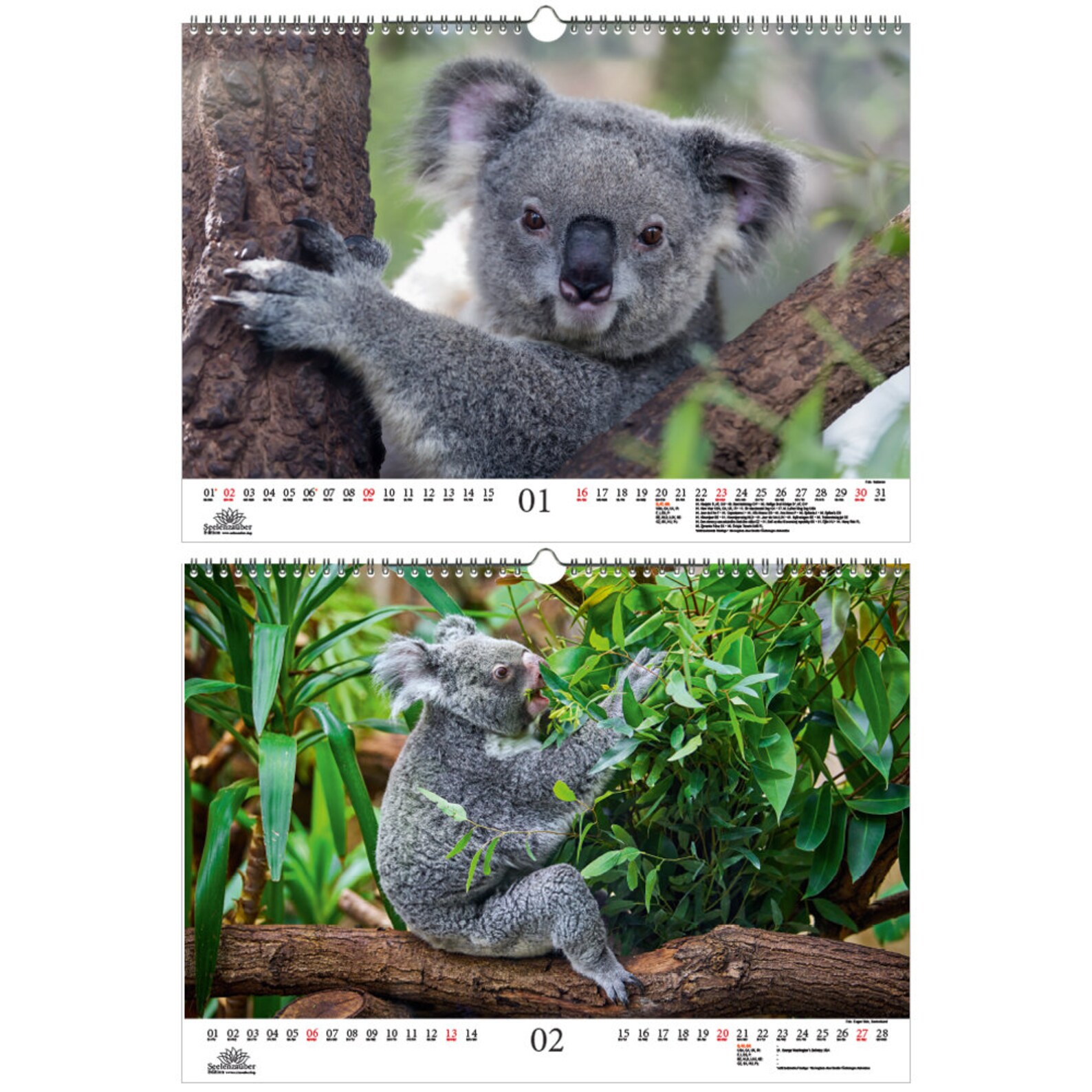 Koala Magic DIN A3 Calendar for 2022 Koala Bears Koala Soul | Etsy