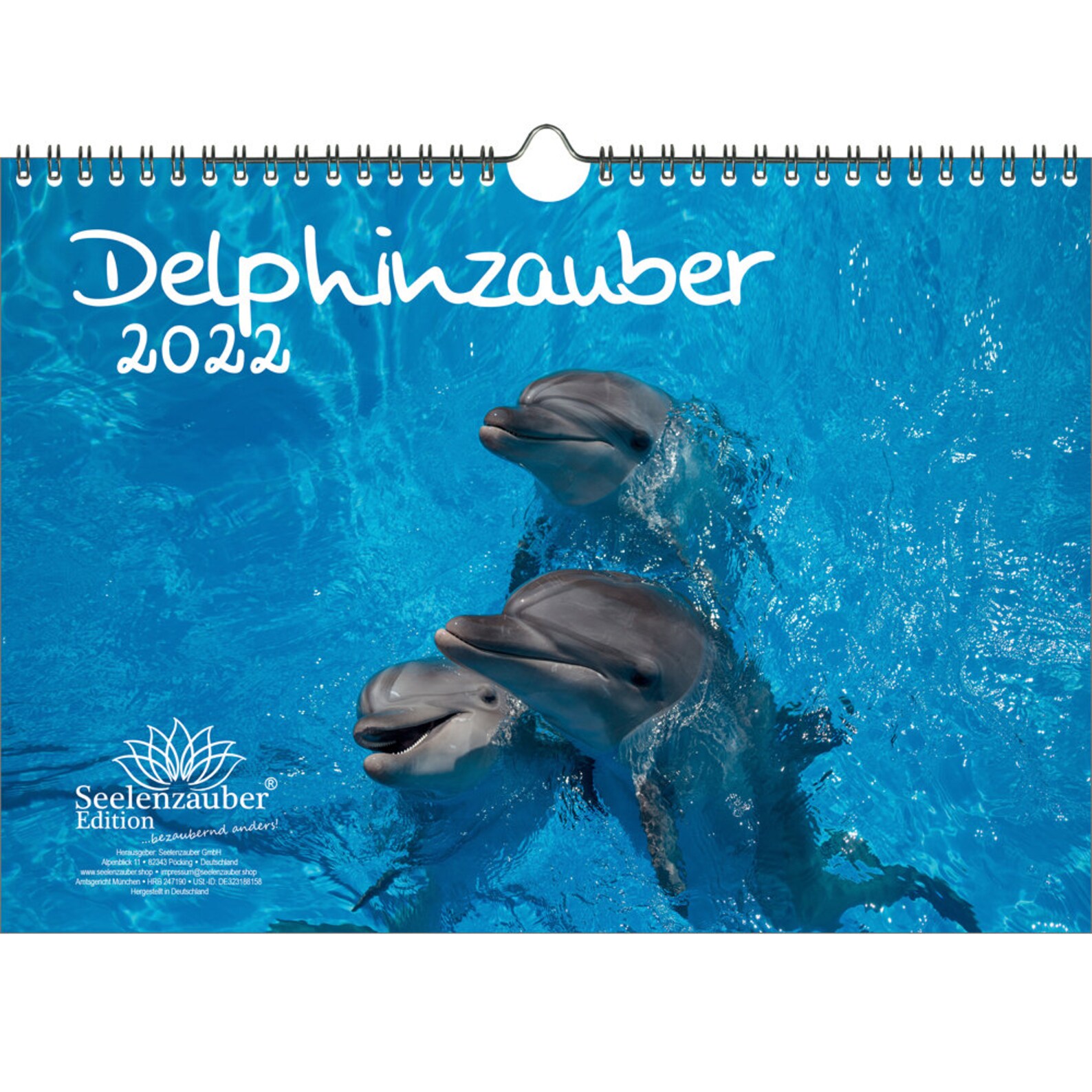 Dolphin Magic DIN A4 Calendar for 2022 Dolphin Dolphin Soul | Etsy